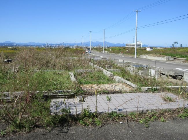 東日本大震災津波被災地のその後・仙台市荒浜地区の現況』宮城野