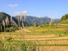 栃又棚田