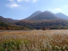 タデ原湿原