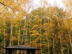 　道の駅からは集合時間の15:20まで各自で西沢渓谷の散策を楽しみます。「西沢渓谷開拓者慰霊碑」のある場所から既に紅葉が綺麗です。