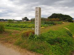 大官大寺跡