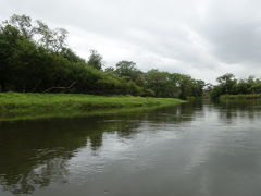 釧路湿原国立公園