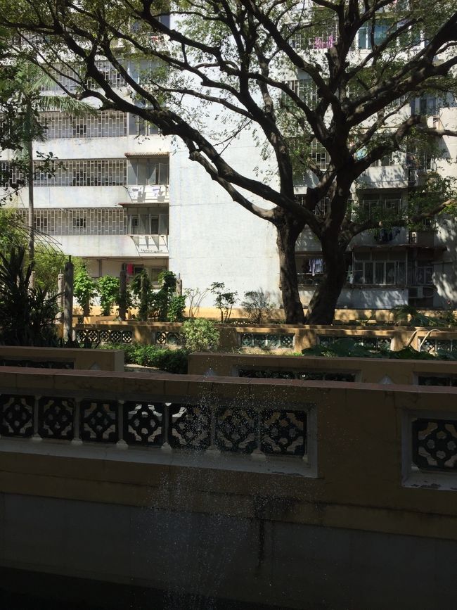 ロバートホートン図書館の中庭。<br />風が気持ちよくて休憩させていただきました。