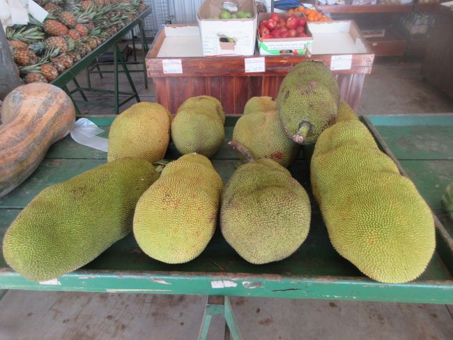 ジャッカ＝ドリアン<br />　これは普通に道路沿いに山ほど出来てて<br />　　誰が持って帰っても良い構造<br /><br />