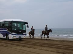 ホテルを出発して、千里浜なぎさドライブウェイへ。
馬がいるー。
