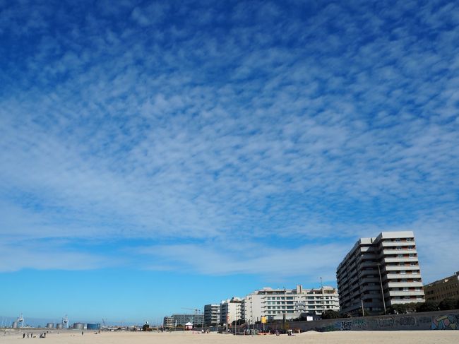気持ち良い空。<br />暖かな気候。<br />風は少し冷たくて<br />もうすぐ冬と春の境を感じる。