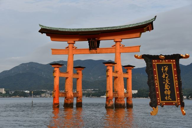 天然の 展望台かと 思いきや 広島県 宮島 宮島 厳島神社 広島県 の旅行記 ブログ By ねんきん老人さん フォートラベル