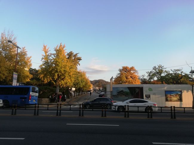 2日目。バスで朝食を食べに。<br />宿からチョンノ３街駅とは逆方向に少し歩いて昌徳宮前のバス停へ。<br />宿へはチョンノ3街から歩くよりこっちのバス停から歩いた方が近いかも。<br />でもgooglle mapで行き先に宿をいれるとこのバス停からの道順はなぜか候補に現れない。<br />帰りの仁川空港駅のバスはここから出発。<br />銀杏の紅葉がきれい。