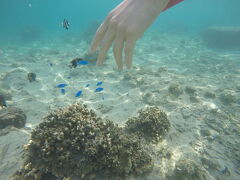 レンタカーで向かったのは、空港から30分ほどの場所にあるジョン万ビーチ。
いつもシュノーケルを楽しむために訪れます。

