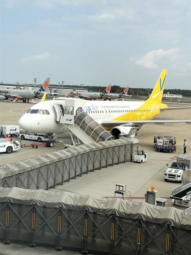 2度目のバニラエア、今回は最前列の足元広々の席にしてみました。<br />両隣の大柄な男性でも足元にだいぶ余裕があったようなので、特に男性にはオススメだと思います。お手洗いも行きやすかったし、快適でした。ただし、手荷物は足元に置けないので、上の棚に収納しなくてはなりません。<br />途中小腹がすいて、ウワサのクリームパンをドトールのコーヒーとのセットでトライ。とっても美味しかったです！