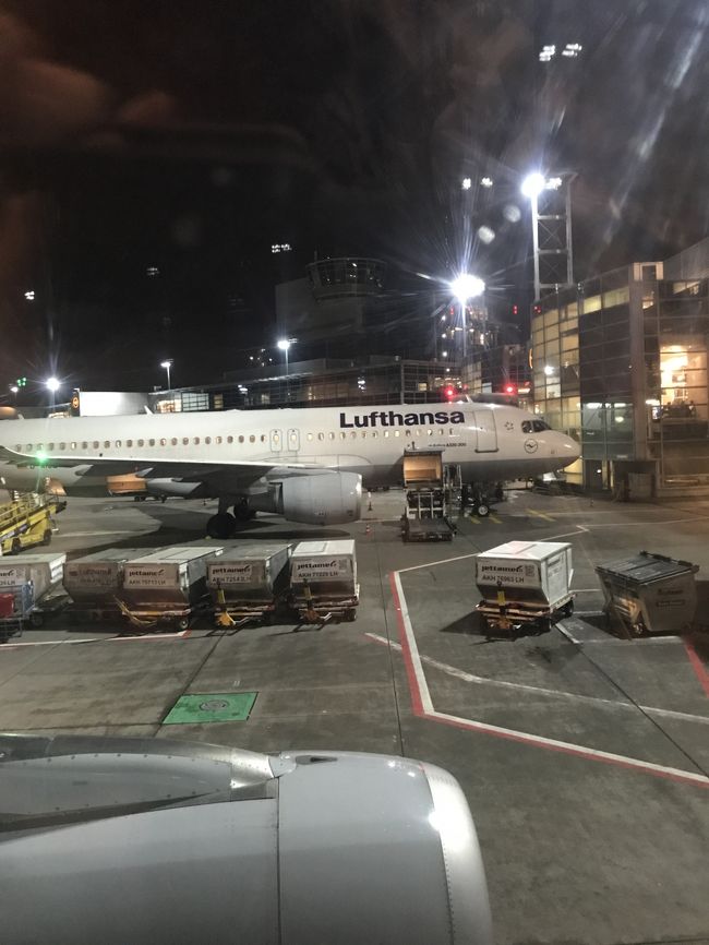 ミュンヘンからフランクフルトへ乗ってきた飛行機。
