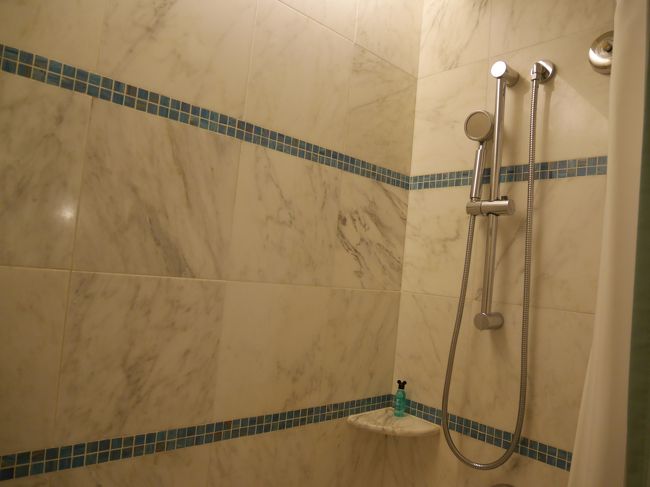 シャワーはハンドのみ<br /><br />水圧は良くも悪くもなくといった感じです。