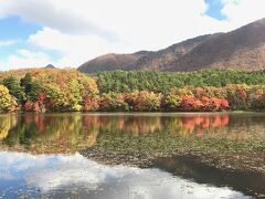 次に下郷町の観音沼森林公園に移動しましたが

途中の山道は一部は1車線のため

すれ違うスペースは所々ありましたけど

対向車が来ないかドキドキしました

駐車場は一番奥は団体バスも入れる大きなのがあります

ここから歩いて沼に下るのが一番おすすめです

トイレもこの駐車場の近くにありました