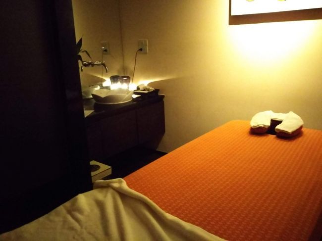 部屋に通され服を脱ぎスタンバイ。<br />ベッドの顔の部分に穴が開いているのでうつ伏せがラクチン。<br />穴からのぞく視線の先にはお約束の水に浮かんだ花。<br />室温もちょうど良くアロマの香りとヒーリングミュージックに癒されます。<br />こちらの細かな反応に応じて加減してくれるマッサージはとても気持ち良かったです。<br />マッサージの後は部屋のシャワーブースでシャワーとシャンプーを済ませました。<br /><br />また来たい、絶対また来る！