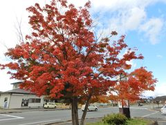 つづら折りを下り続け、道の駅 厳美渓へ到着。紅葉がいい感じで紅葉していました。