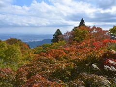 振り返ると、伊勢原市内と、相模湾に浮かぶ江の島が見えました。
