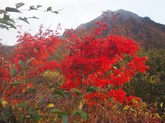 20分ほど歩くと、朝日岳と真っ赤な紅葉が！