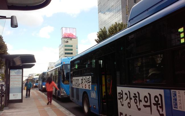 初めはブルーバスの#143.でざっと回りました。バスの乗り換えは楽です。待っていれば次から次へと別のバスが来ます。