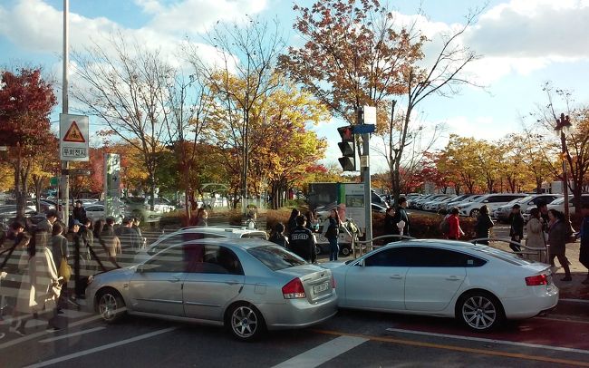 周辺は駐車場に入りきれない車が路駐するので、1車線は全く使えず。