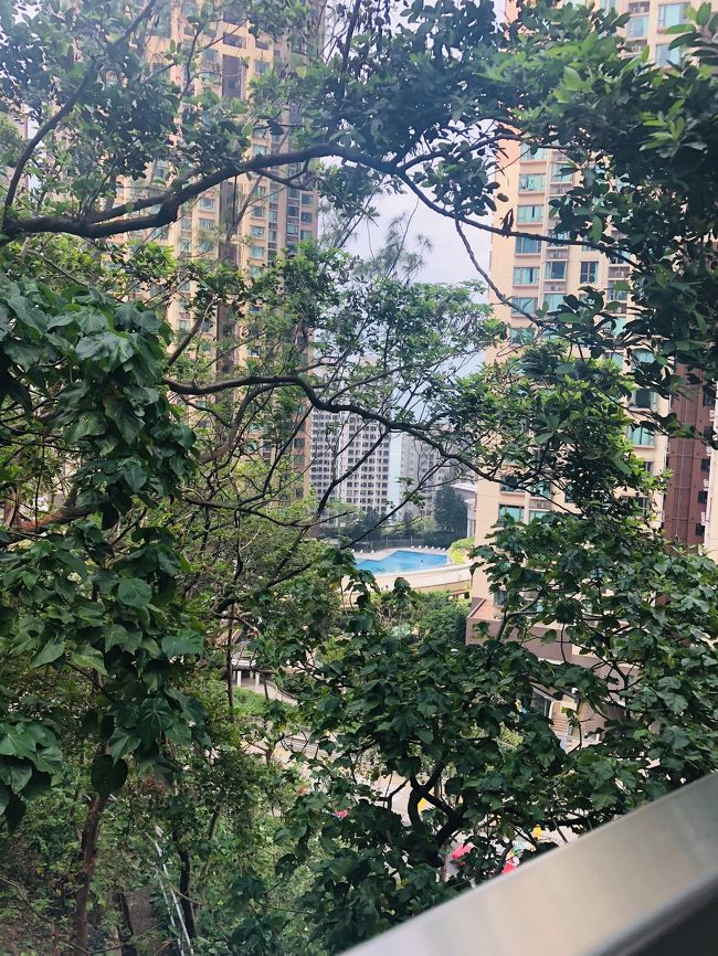 かなり高台にあるんだな～。