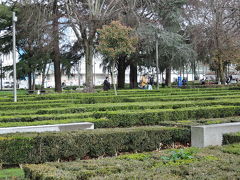 コルドアリア庭園（Jardim da Cordoaria）
大学の後ろは広い公園になっています。植え込みが綺麗です。
