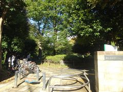 有栖川公園は都内の公園にしては珍しく高低差があって、緑豊かで四季の移り変わりや自然を感じることが出来る。