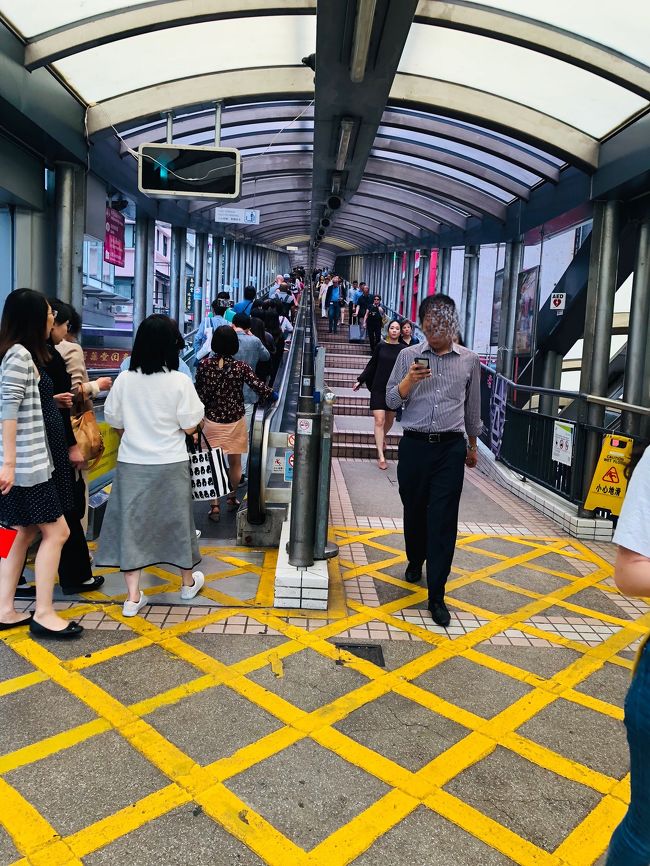 「ヒルサイド・エスカレーター」まで来ました。<br />これ楽しいですよね～☆。