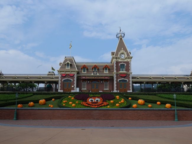 ミッキーのお顔はお花で作られていました！周りはかぼちゃ。