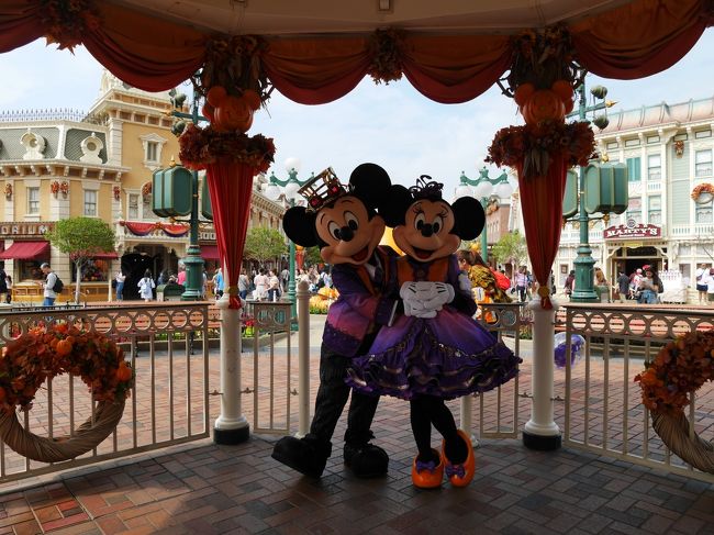 パープルも着こなしておりますね♪