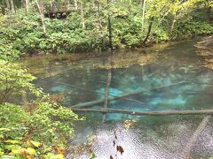 神の子池 天気だったらもっと綺麗に見えるんだろうけど 