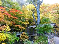 屋根のある五台橋と、内村川沿いの紅葉。きれいだ～♪
