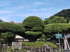 最後に島津斉彬を祀る照国神社に行って、11時半ころ薩摩こんしぇるじゅさんとはお別れしました。
かなり暑い日で、結構歩いたのでちょっと大変でしたけど、さすが地元の方は全然平気そうで、たくさん楽しいお話を聞かせていただき、とても面白かったです。今回のコースは、城山ホテルオリジナルコースでした。
薩摩コンシェルジュには、色々なガイドコースがありますので、ぜひお願いしてみてください！
照国神社からはタクシーで城山ホテルに戻り、荷物を受け取って、城山ホテルの駐車場から車で出発したのが、12時半ころ。
7時間ほどかけて広島に帰りました。
鹿児島は景色がダイナミック、温泉三昧で楽しい旅でした！