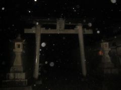 で、せっかくなので、駅まで向かう途中にあったこちらの神社にも立ち寄りますが…。