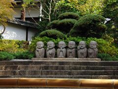 東福寺霊源院のいつもの子たち^^。
