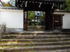 果たして、寺院内のもみじの明暗は!!?
