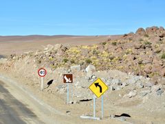 【世界最高峰の砂漠：アタカマ砂漠を徘徊する】

コンドルが、横切るよぉ～.....の標識？