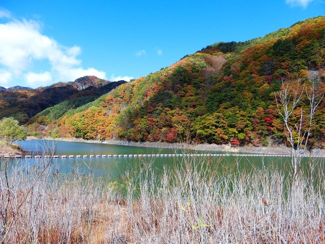 紅葉の上田・鹿教湯温泉一人旅 (2日目)鹿教湯温泉・内村ダムをウォーキング