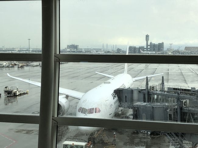 いってきます。<br /><br />…現地滞在22時間ですけども。