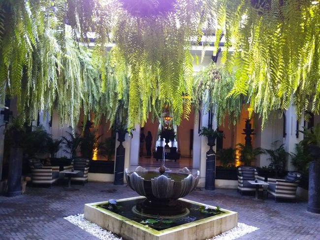 光を受けて揺れる緑が美しい。<br />