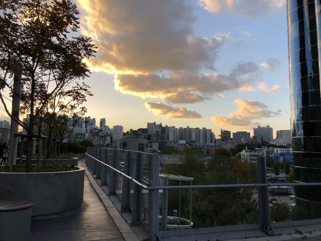 夕暮れどき。<br /><br />お散歩に良い感じなのですが、この季節この時間帯もう寒い。<br />あまり考えず薄い上着だけだったから…（もうダウンスタイルの人とかいたしな！）