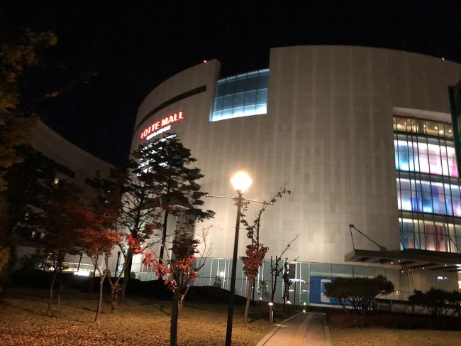 朝９時の飛行機で帰るため、今回は金浦空港からひと駅のホテルに泊まります。<br />ひと駅…だけに歩くこともできるようなんで歩きます。