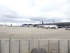 土曜日に、成田空港から出発です。
