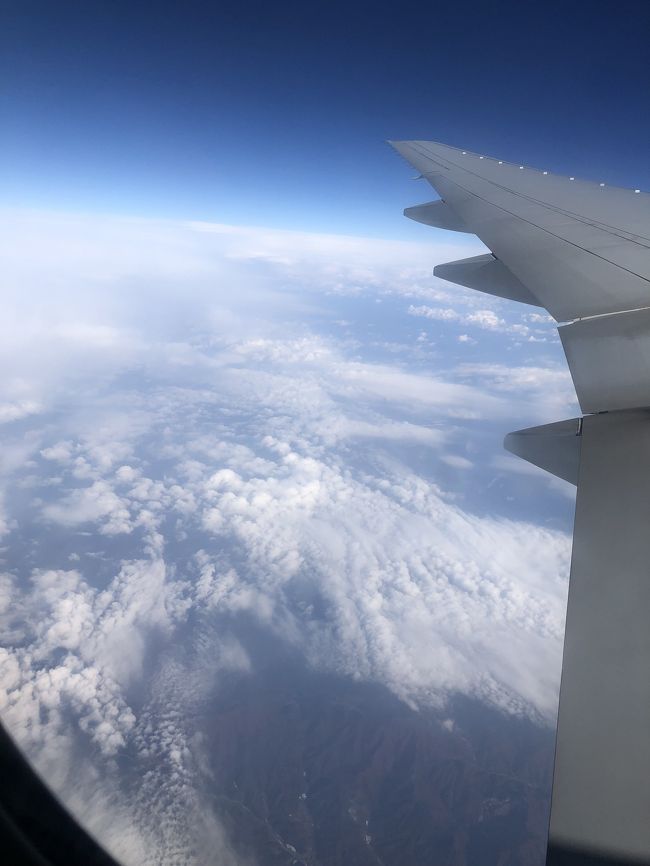 やっぱりソウルは近い。<br />着いてからの移動とか考えたら国内旅行より早いくらいだったりするし。<br /><br />しかし朝発朝帰りは、帰った後が眠いなーzzz<br />帰ってから時間が十分あるのはいいけど！