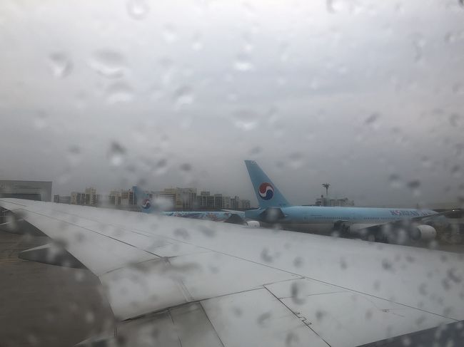 翌朝。帰り。<br />ホテルから空港まで歩く途中雨が降り出して、雷まで鳴っていて。<br />チェックインのときも雷で遅れるかも？な説明あったけど、だいたい時間通りで飛ぶらしい。<br />