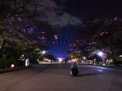 メイン会場の上野公園 噴水広場からレーザーがでていて木々がキラキラ。