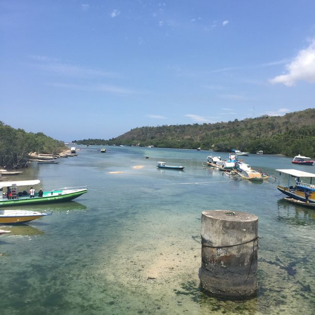 13時半からビレッジツアーなるものがあるとのことで参加。トラックの荷台に乗って島の途中まで行って引き返してくるというだけのツアーだったけど時間潰しにはなった。