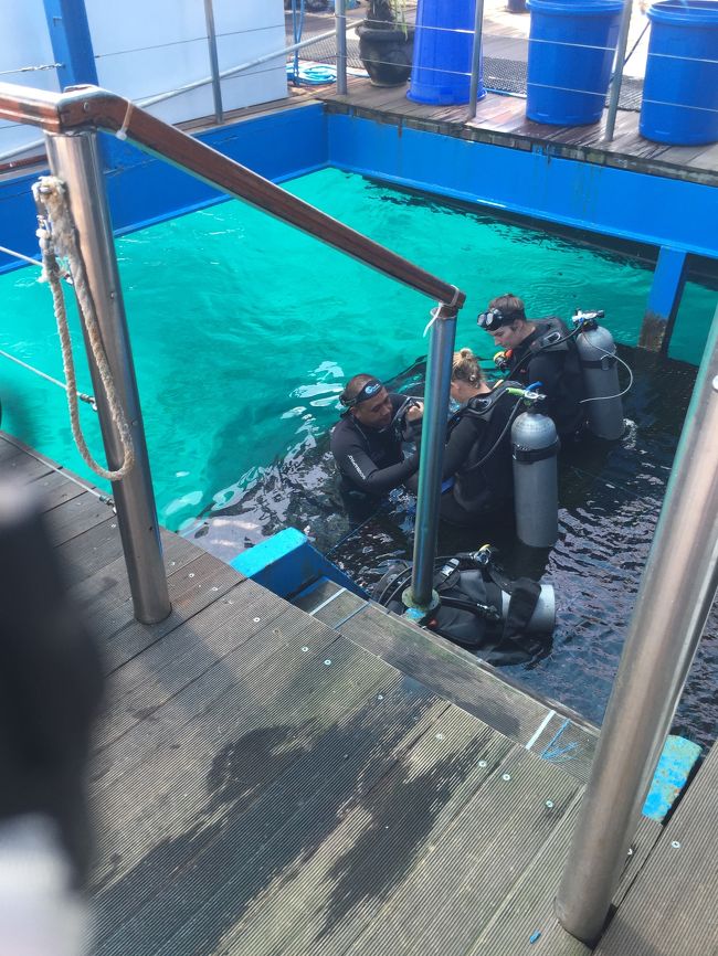 スキューバやる人もたくさんいました