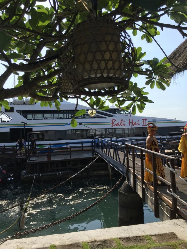このクルーズ船で出発します