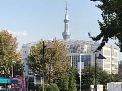今日も秋晴れ☆

気持ちがいいお天気だったので、また上野公園に来てしまいました（笑）

東京スカイツリーが見えます。