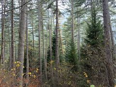 トレベヴィチ山